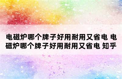 电磁炉哪个牌子好用耐用又省电 电磁炉哪个牌子好用耐用又省电 知乎